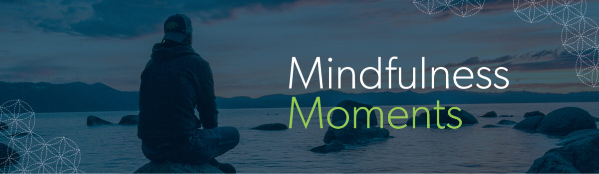 Mindfulness Moments