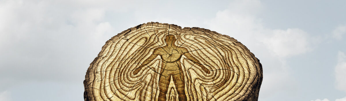 Course Spotlight: Eco-psychology