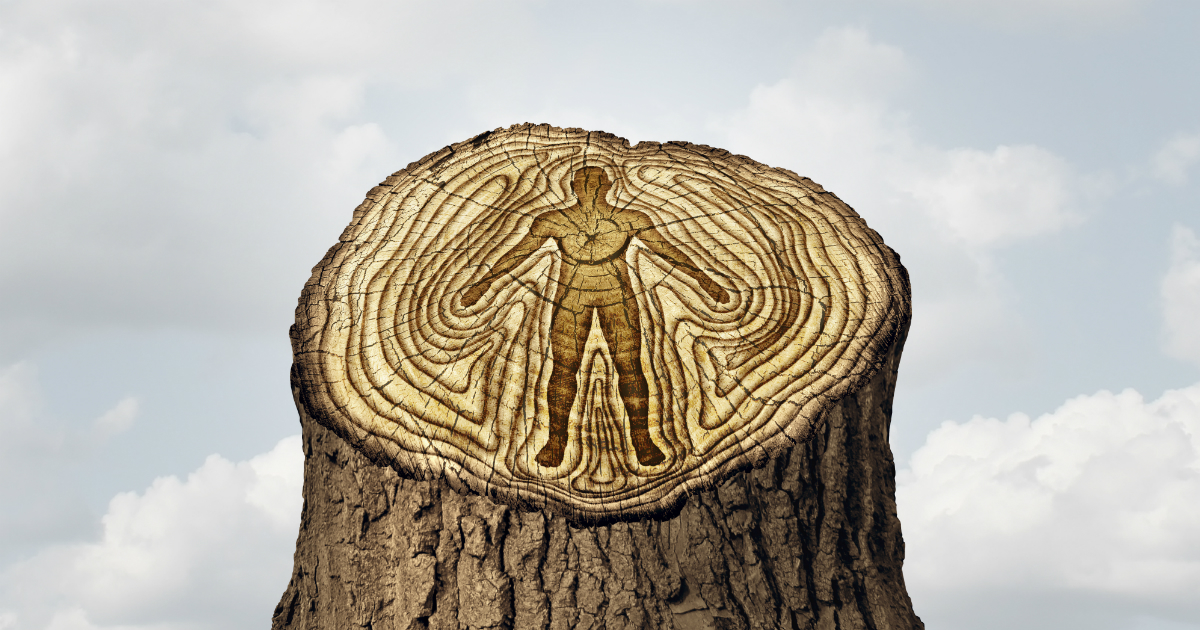 Course Spotlight: Eco-psychology