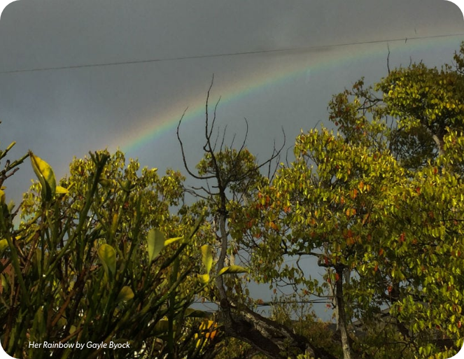 Photo of a rainbow.