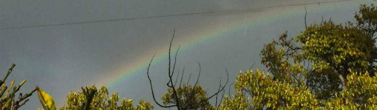 Her Rainbow