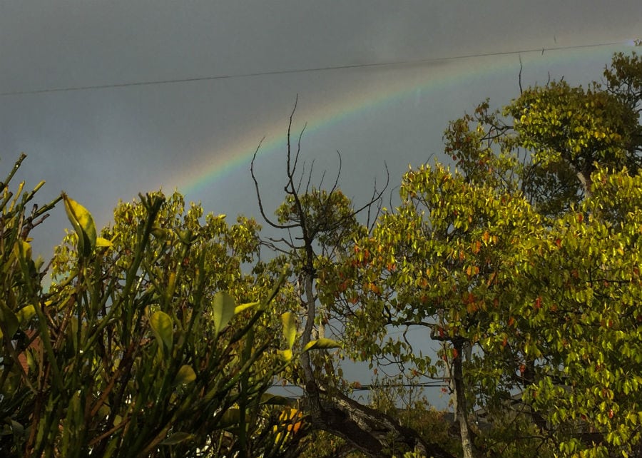 Her Rainbow