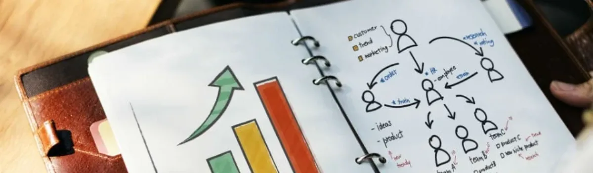 Systems archetypes and their application