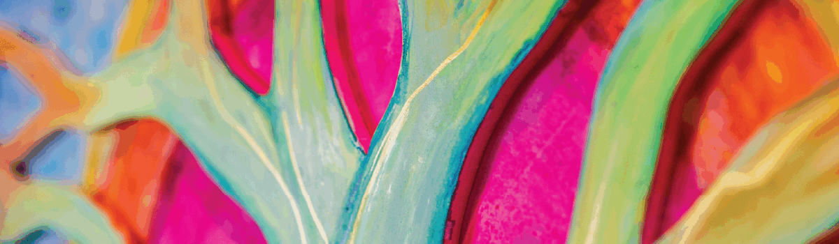 The Art of Healing Through Creative Expression: Humanistic Psychology at Saybrook University